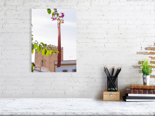 The Orange Republick Photo Collection – Tree Tag No.5 - WALL