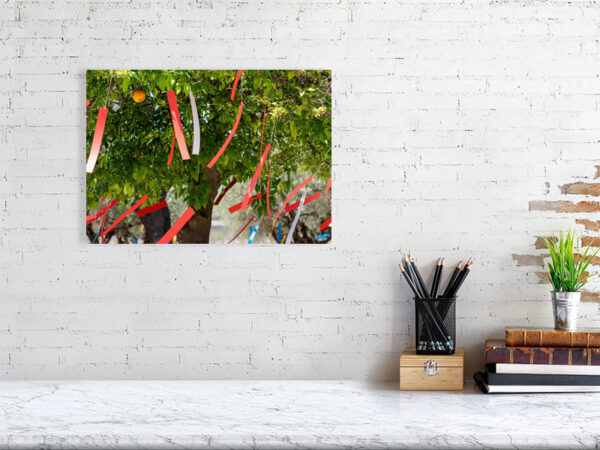 The Orange Republick Photo Collection – Tree Tag No.6 – WALL