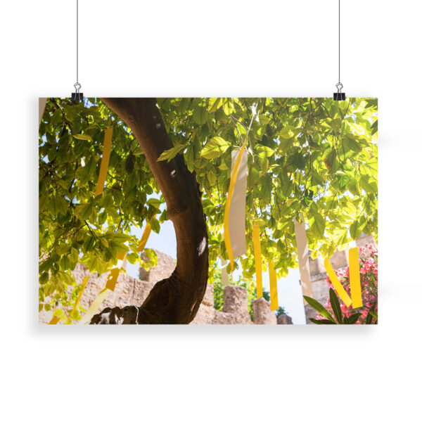 The Orange Republick Photo Collection – Tree Tag No.8