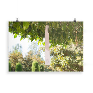 The Orange Republick Photo Collection – Tree Tag No.1 - PRINT