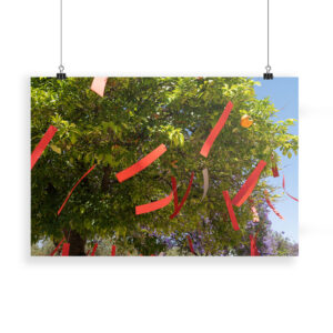 The Orange Republick Photo Collection – Tree Tag No.3 - Print