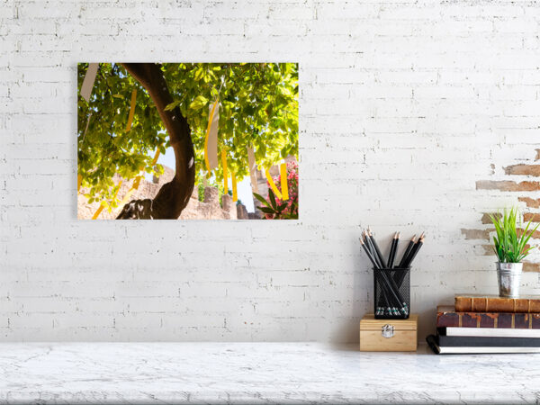 The Orange Republick Photo Collection – Tree Tag No.8-Wall
